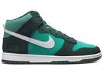 NIKE DUNK HI DJ6152-300