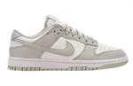 NIKE DUNK LOW RETRO DD1391-103